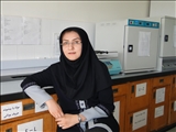 The Thesis  Defence of  Dr.Elnaz Mehdizadeh was held on..