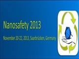 Nano safety 2013